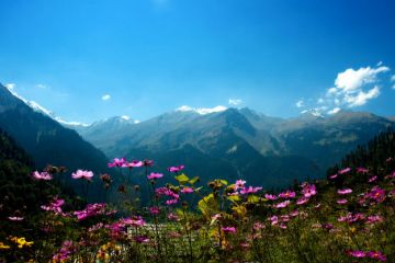 Memorable 2 Days 1 Night Parvati Valley Palace Holiday Package