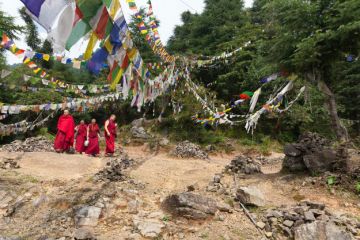 Family Getaway 2 Days 1 Night Dharamsala Offbeat Tour Package