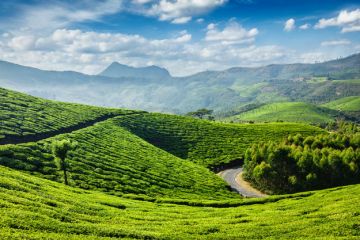 Amazing Munnar Culture Tour Package for 2 Days