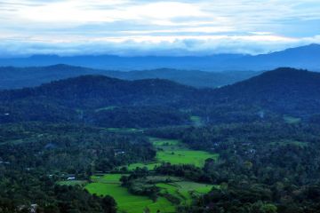 Ecstatic 2 Days Coorg Forest Vacation Package