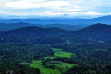Ecstatic 2 Days Coorg Forest Vacation Package