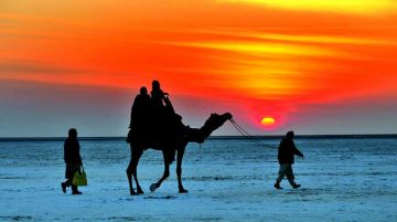 2 Days Gujarat with Rann Of Kutch Friends Tour Package