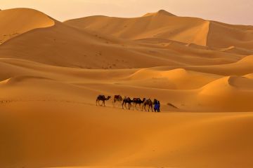 Family Getaway Jaisalmer Offbeat Tour Package for 2 Days