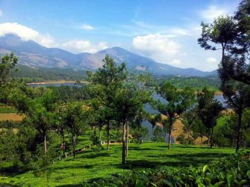 Ecstatic 2 Days Munnar Religious Holiday Package