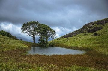 Ecstatic 2 Days 1 Night Wayanad Honeymoon Vacation Package