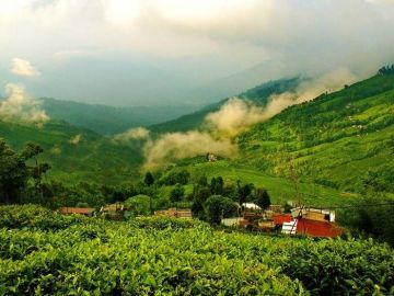 2 Days Darjeeling Hill Stations Tour Package