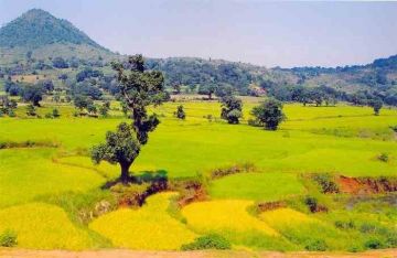 2 Days Araku Valley Family Tour Package