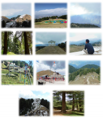 Beautiful 6 Days Dainkund Peak Dalhousie Vacation Package