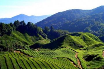 Beautiful 4 Days Coorg Hill Stations Holiday Package