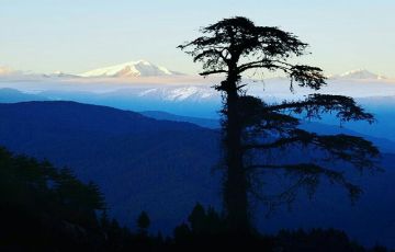 Tawang Culture and Heritage Monastery Tour Package