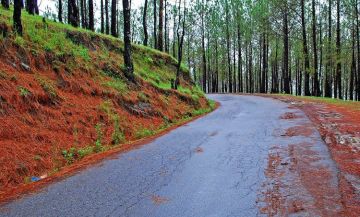 Amazing 2 Days 1 Night Ranikhet Forest Tour Package