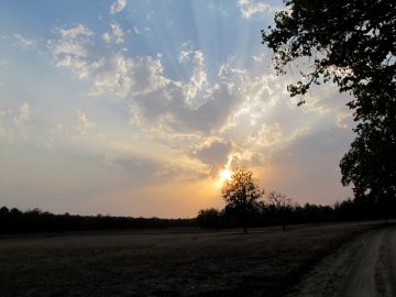 Experience 2 Days 1 Night Bandhavgarh Friends Vacation Package