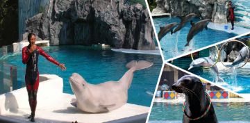 Heart-warming Bangkok Tour Package for 4 Days 3 Nights