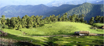 Nainital , Jim Corbett ,  Kausani      5 nights - 6 days   P