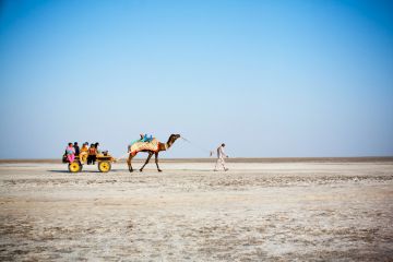 Memorable 2 Days Kutch Luxury Tour Package