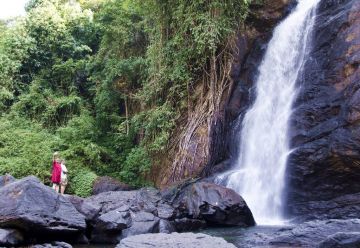 Ecstatic 2 Days Wayanad Nature Vacation Package