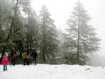 Experience 2 Days 1 Night Shimla Hill Stations Trip Package