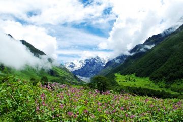 Ecstatic 2 Days Delhi to Valley Of Flowers Hill Vacation Package