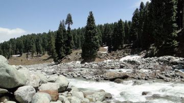 Pleasurable 6 Days 5 Nights Pahalgam Offbeat Trip Package