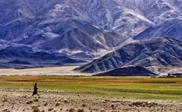 Beautiful 2 Days Ladakh Wildlife Tour Package