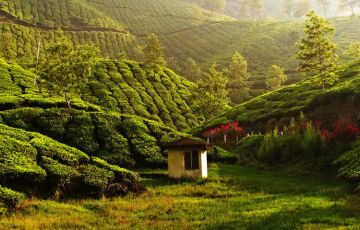 Religious Tour Package for 2 Days 1 Night from Munnar