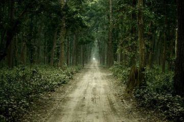 Magical 2 Days Uttar Pradesh Holiday Package