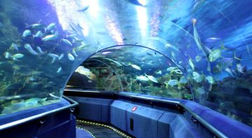 Best 6 Days KUALA LUMPUR Tour Package