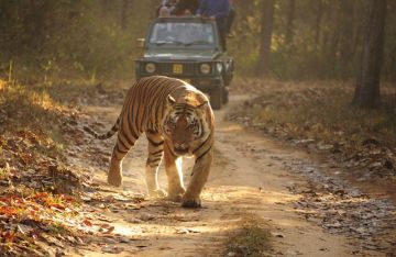 Magical 2 Days Ranthambore Wildlife Vacation Package