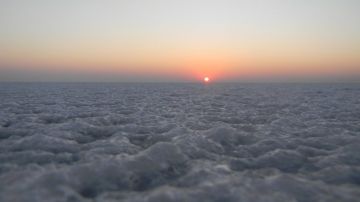 Beautiful 2 Days 1 Night Rann Of Kutch Wildlife Tour Package