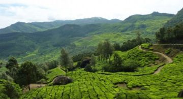 Magical 2 Days 1 Night Munnar Nature Vacation Package