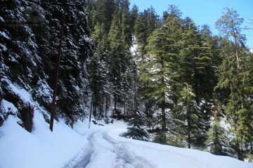 Heart-warming 2 Days Dalhousie Friends Vacation Package