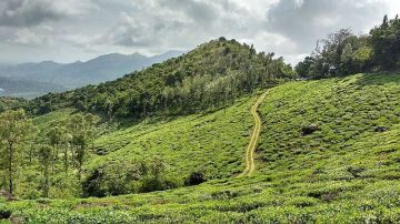 Beautiful 2 Days Wayanad Honeymoon Trip Package