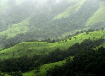 Pleasurable 2 Days 1 Night Kudremukh Holiday Package