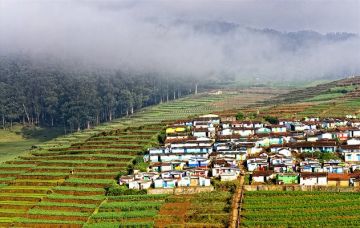 Memorable 2 Days 1 Night Ooty Family Holiday Package
