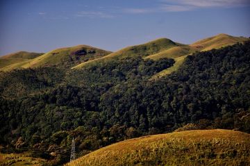 Experience Thekaddy Weekend Getaways Tour Package for 2 Days