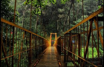 Ecstatic 2 Days Coorg Lake Holiday Package