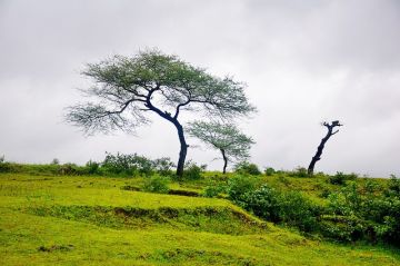 Beautiful 2 Days 1 Night Saputara Temple Tour Package