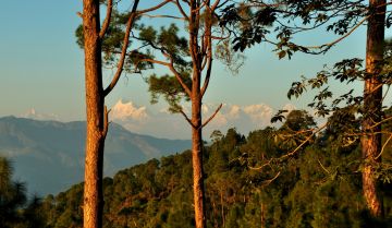 Pleasurable 2 Days Ranikhet Wildlife Trip Package