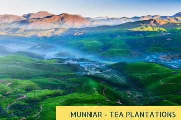 Ecstatic 2 Days 1 Night Munnar Lake Vacation Package