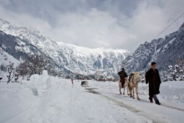 Magical Sonmarg Tour Package for 2 Days