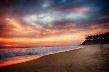 Best 2 Days 1 Night Varkala Wildlife Vacation Package