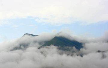 Magical 2 Days 1 Night Wayanad Nature Trip Package