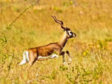 Best 2 Days 1 Night Tumkur Holiday Package