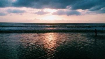 Pleasurable Guwahati Forest Tour Package for 2 Days