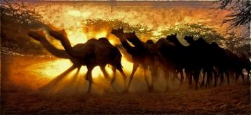 Memorable 2 Days 1 Night Jaisalmer Offbeat Trip Package