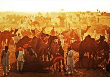 Best 2 Days Bikaner Desert Holiday Package