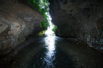 Best 2 Days Dehradun Wildlife Tour Package