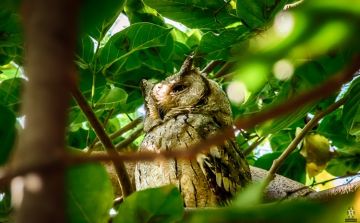 Pleasurable 2 Days Rajasthan Romantic Holiday Package