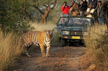 Family Getaway Uttar Pradesh Tour Package for 2 Days