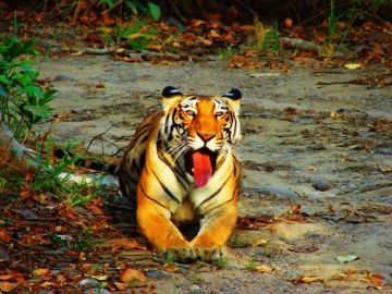 Beautiful 2 Days Kerala Hill Stations Holiday Package